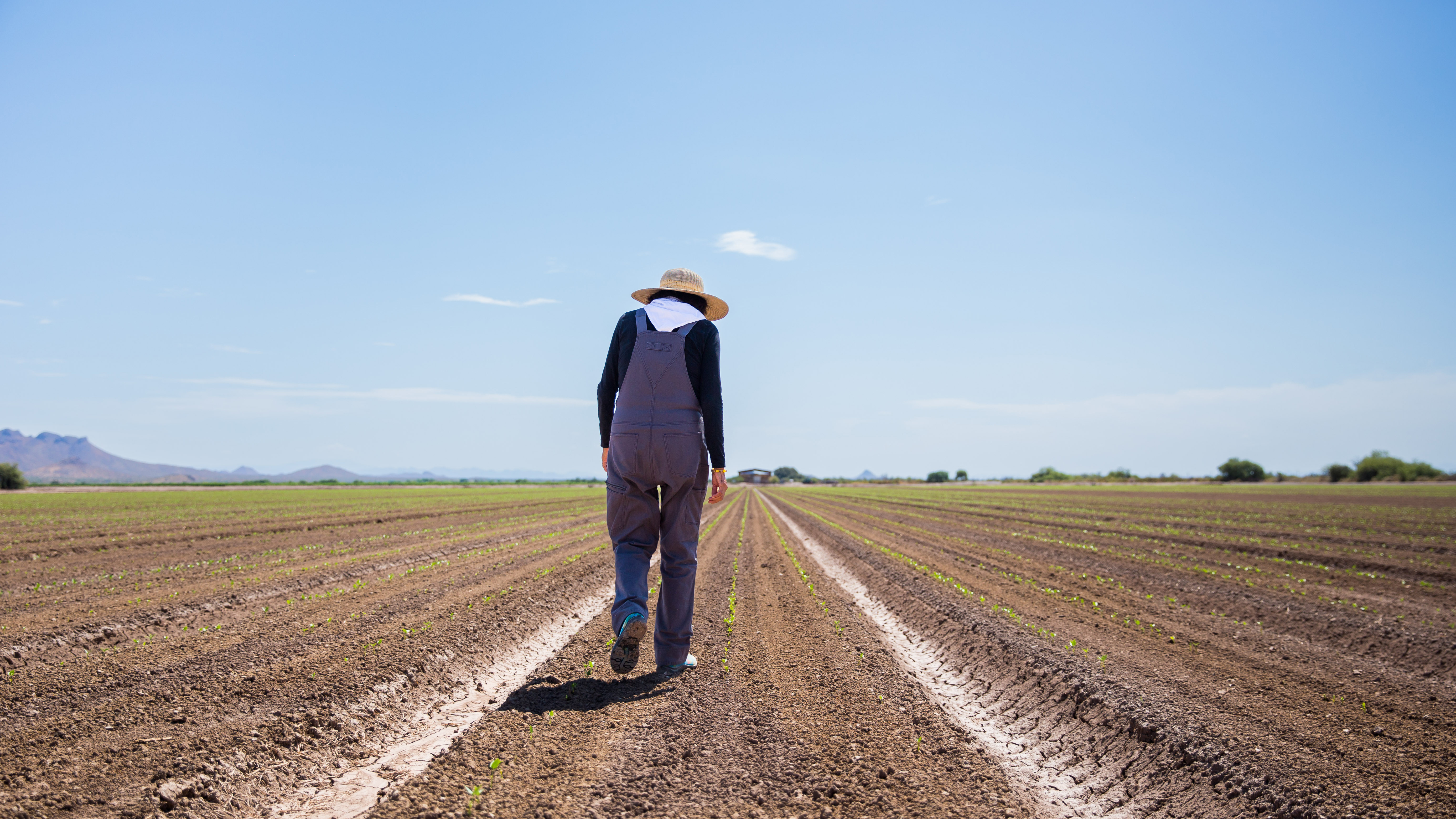 Check for Women’s Work The Untold Story of America’s Female Farmers airing on a public television station near you!